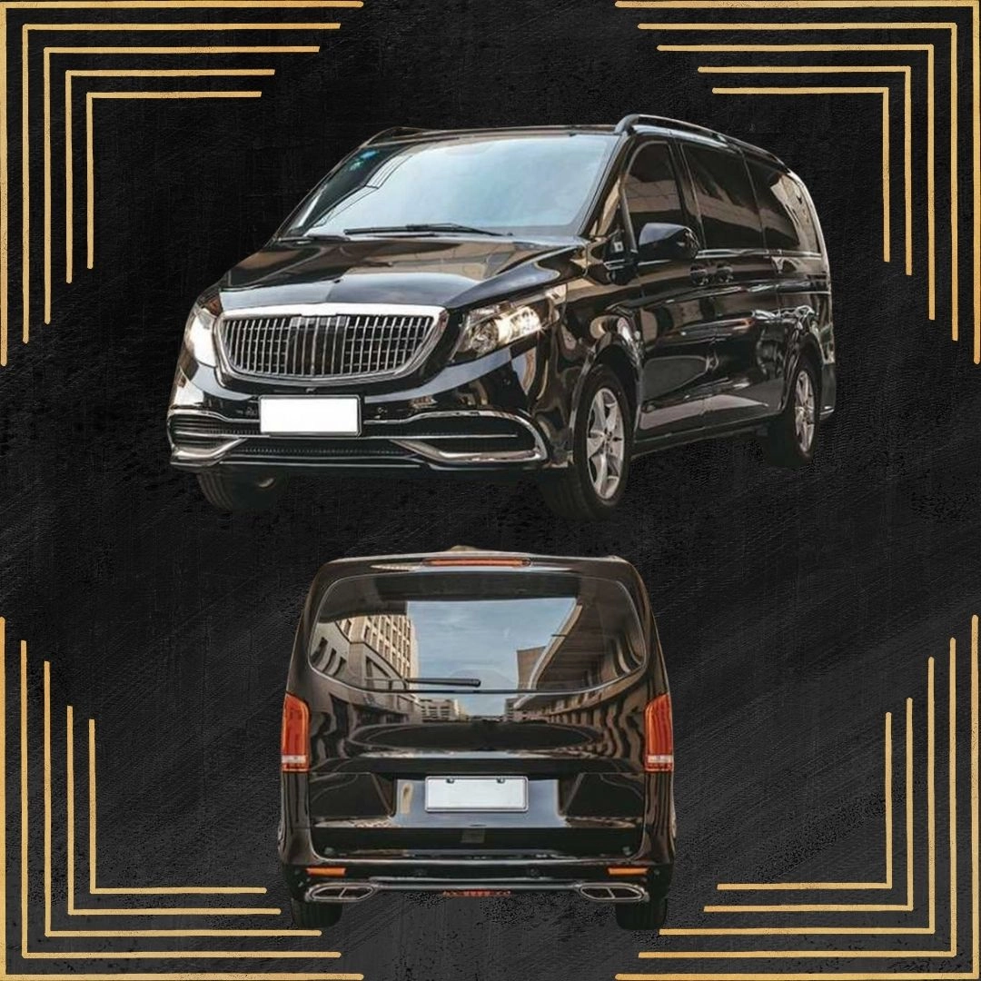 vip panelvan